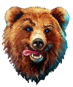 Straja Ursului Breaza de Fagaras cazare , restaurant, gratar, pizza parma, pizza napoli, biciclete si e-bike